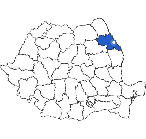 Iași