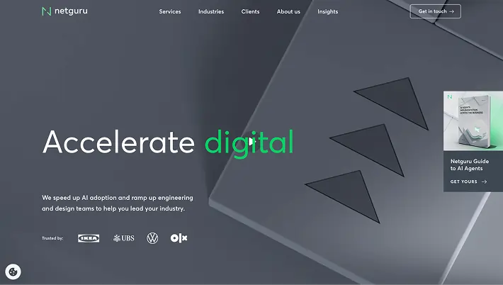 Netguru